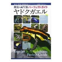 画像をギャラリービューアに読み込む, ヤドクガエル
