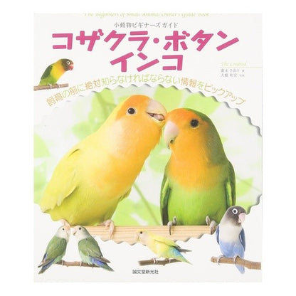 コザクラ・ボタンインコ