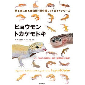 ヒョウモントカゲモドキ