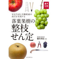 落葉果樹の整枝せん定