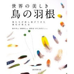 世界の美しき鳥の羽根　鳥たちが成し遂げて