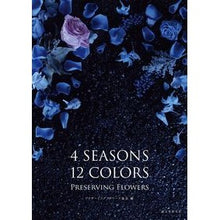 画像をギャラリービューアに読み込む, ４ＳＥＡＳＯＮＳ　１２ＣＯＬＯＲＳ　ＰＲ
