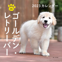 画像をギャラリービューアに読み込む, #井川俊彦写真 #カレンダー’２３ゴールデン・レトリー
