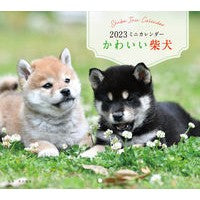 画像をギャラリービューアに読み込む, ミニカレンダー　’２３　かわいい柴犬
