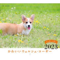 ミニカレンダー　’２３　かわいいウェルシ