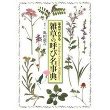 画像をギャラリービューアに読み込む, 雑草の呼び名事典
