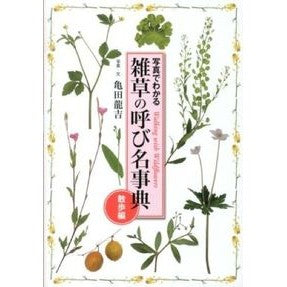 雑草の呼び名事典　散歩編
