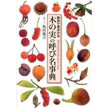 画像をギャラリービューアに読み込む, 木の実の呼び名事典
