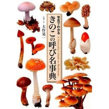 画像をギャラリービューアに読み込む, きのこの呼び名事典
