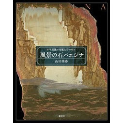 不思議で奇麗な石の本　風景の石パエジナ