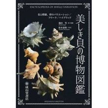 Load image into Gallery viewer, 美しき貝の博物図鑑　色と模様、形のバリエ
