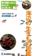 #海の博物館監修 #海辺の生きもの図鑑