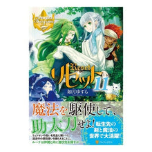 Load image into Gallery viewer, リセット　　１１
