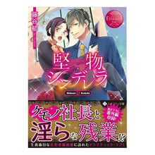 画像をギャラリービューアに読み込む, 堅物シンデレラ　エタニティブックス　赤
