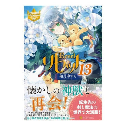 リセット　　１３