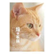 猫は家族　きなちゃんとダンくんが私に教え Cats are family, Kina-chan and Dan-kun taught me
