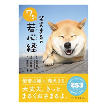 画像をギャラリービューアに読み込む, ＃加藤　朝胤　監修 ＃柴犬まるのワン若心経 ｶﾄｳﾁﾖｳｲﾝ :9784434295850
