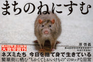 #原啓義 #まちのねにすむ
