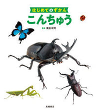 画像をギャラリービューアに読み込む, #須田研司監修 #こんちゅう
