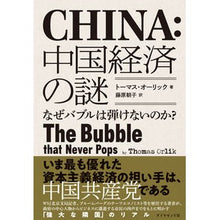 画像をギャラリービューアに読み込む, 中国経済の謎
