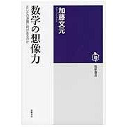 Load image into Gallery viewer, 数学の想像力　正しさの深層に何があるのか

