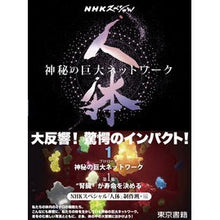 画像をギャラリービューアに読み込む, 人体～神秘の巨大ネットワーク～　　　１
