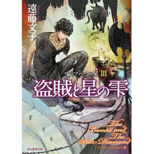 画像をギャラリービューアに読み込む, 盗賊と星の雫　サラファーンの星　　　３
