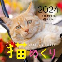 画像をギャラリービューアに読み込む, #中央経済グルー #カレンダー’２４猫めくり
