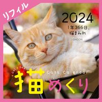 画像をギャラリービューアに読み込む, #中央経済グルー #カレンダー’２４猫めくりリフィル
