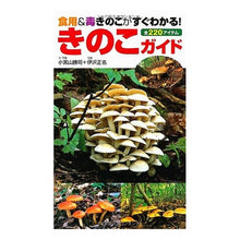 画像をギャラリービューアに読み込む, きのこガイド
