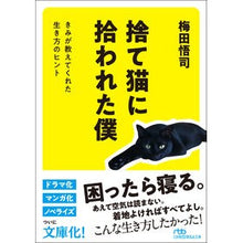 画像をギャラリービューアに読み込む, 捨て猫に拾われた僕
