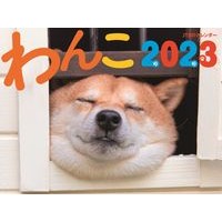 Load image into Gallery viewer, カレンダー　’２３　わんこ

