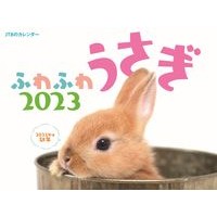 Load image into Gallery viewer, カレンダー　’２３　ふわふわうさぎ

