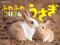 画像をギャラリービューアに読み込む, #ＪＴＢパブリッ #カレンダー’２４ふわふわうさぎ
