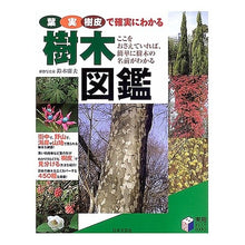画像をギャラリービューアに読み込む, 葉　実　樹皮で確実にわかる樹木図鑑
