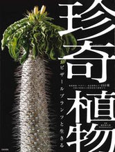 画像をギャラリービューアに読み込む, ＃藤原　連太郎　監修 ＃珍奇植物　ビザールプランツと生きる ﾌｼﾞﾜﾗﾚﾝﾀﾛｳ | Fujiwara Rentarou Living with rare plants Bizarre :9784537216936
