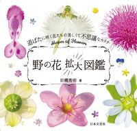 画像をギャラリービューアに読み込む, #岩槻秀明 #野の花拡大図鑑
