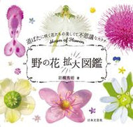#岩槻秀明 #野の花拡大図鑑