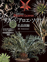 画像をギャラリービューアに読み込む, #ｓｈａｂｏｍａｎｉａ #アガベ・アロエ・ソテツ名品図録 :9784537221411
