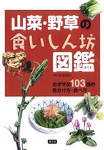 画像をギャラリービューアに読み込む, #松本則行 #山菜・野菜の食いしん坊図鑑－おすすめ

