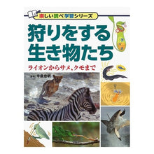 Load image into Gallery viewer, ＃今泉　忠明　監修 ＃狩りをする生き物たち　ライオンからサメ、 ｲﾏｲｽﾞﾐﾀﾀﾞｱｷ PHP研究所 狩りをする生き物たち ライオンからサメ、クモまで (楽しい調べ学習シリーズ) : Supervised by Tadaaki Imaizumi Creatures : Supervised by Tadaaki Imaizumi :9784569785967
