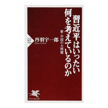 画像をギャラリービューアに読み込む, 習近平はいったい何を考えているのか
