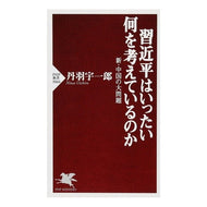 習近平はいったい何を考えているのか
