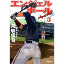 画像をギャラリービューアに読み込む, エンジェルボール　　　３
