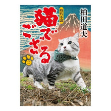 画像をギャラリービューアに読み込む, 猫でござる　　　２
