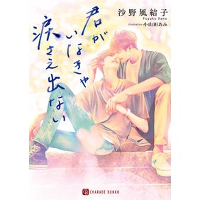 君がいなきゃ涙さえ出ない