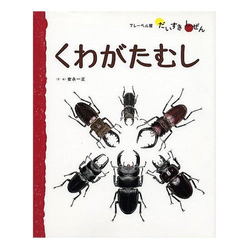 くわがたむし