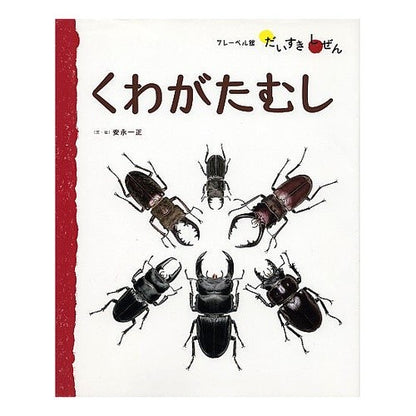 くわがたむし