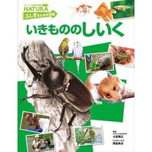 Load image into Gallery viewer, ＃小宮　輝之　監修 ＃いきもののしいく ｺﾐﾔﾃﾙﾕｷ フレーベル館 (フレーベル館の図鑑ナチュラ ふしぎをためす図鑑) : Supervised by Teruyuki Komiya The history of living things :9784577040195
