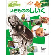 ＃小宮　輝之　監修 ＃いきもののしいく ｺﾐﾔﾃﾙﾕｷ フレーベル館 (フレーベル館の図鑑ナチュラ ふしぎをためす図鑑) : Supervised by Teruyuki Komiya The history of living things :9784577040195